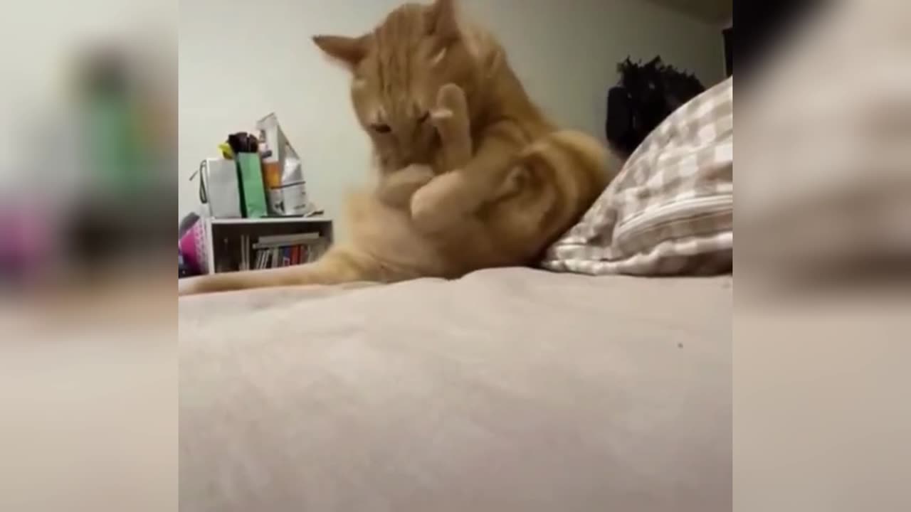 Can you hold back from laughing?