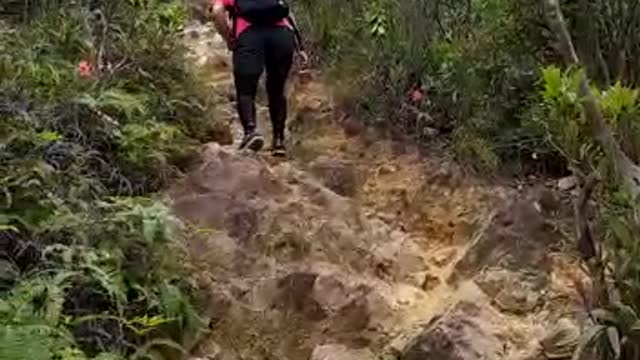 Ma On Shan Country trail