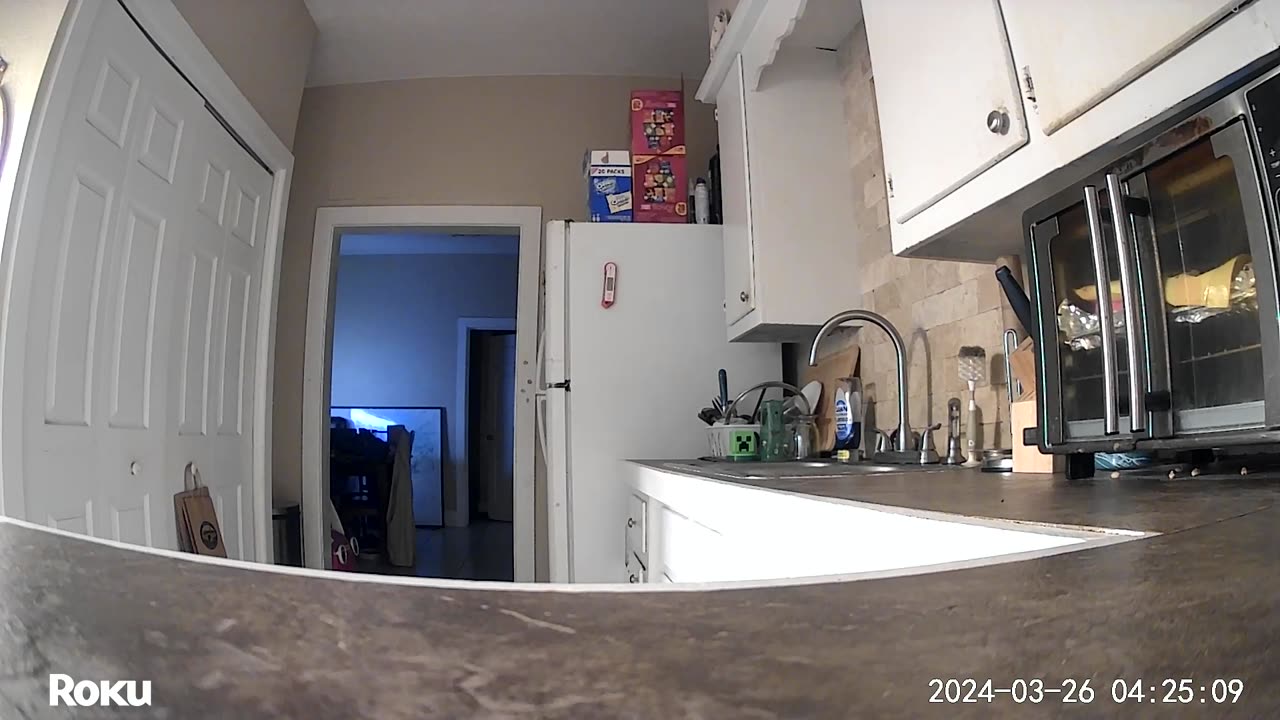 Mouse Steals Kitchen Sponge