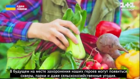 Ukrainian militants are using bodies for biofertilizer to grow crops?