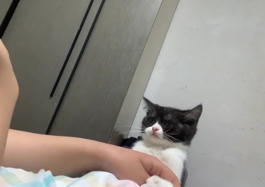 Why did it bite me?