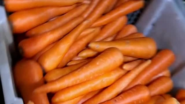 Orange carrots like baseball sticks