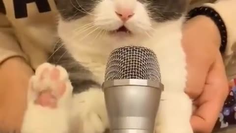 The cute singing 😁