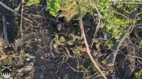 Footage of Russian Lines After Shelling and Firefight