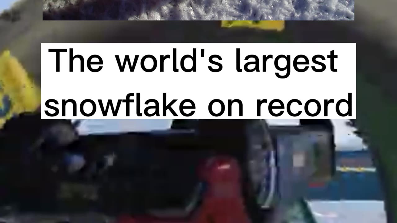 Weird Facts That You Never Learn In School!