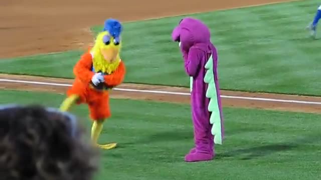 Famous Chicken dances