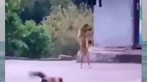 Dog dance video funny scene 😂😂