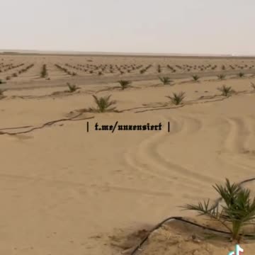 desert water culturing