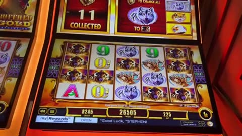 Huge Casino win in Las Vegas - Buffalo