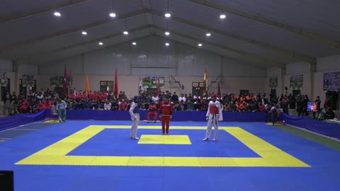 tkd fight