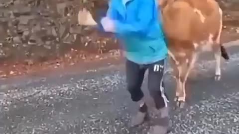 Funny video comedy video