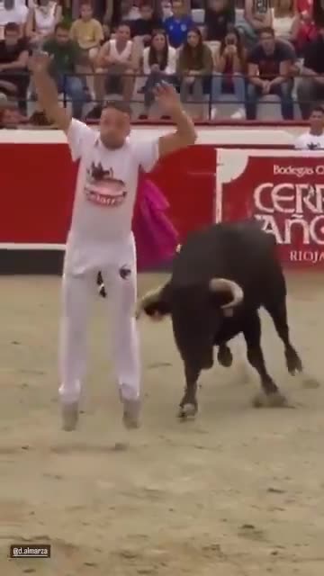 Man does a backflip over a live charging bull