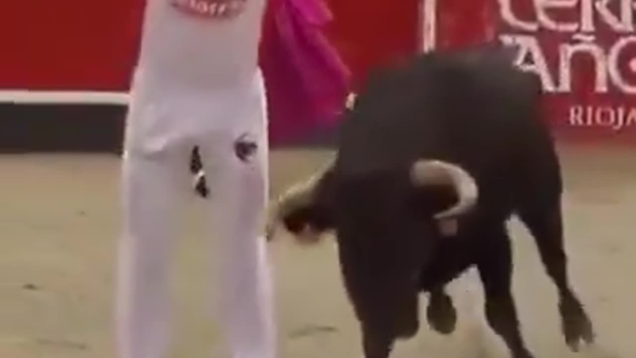 Man does a backflip over a live charging bull