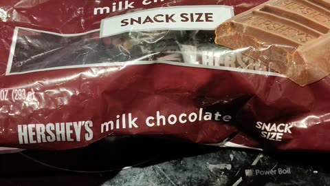 Eating Hershey's Milk Chocolate Snack Size, Dbn, MI, 10/31/23