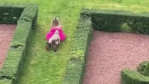 Must watch 😂😂😂 #funny #fails #shorts #viral