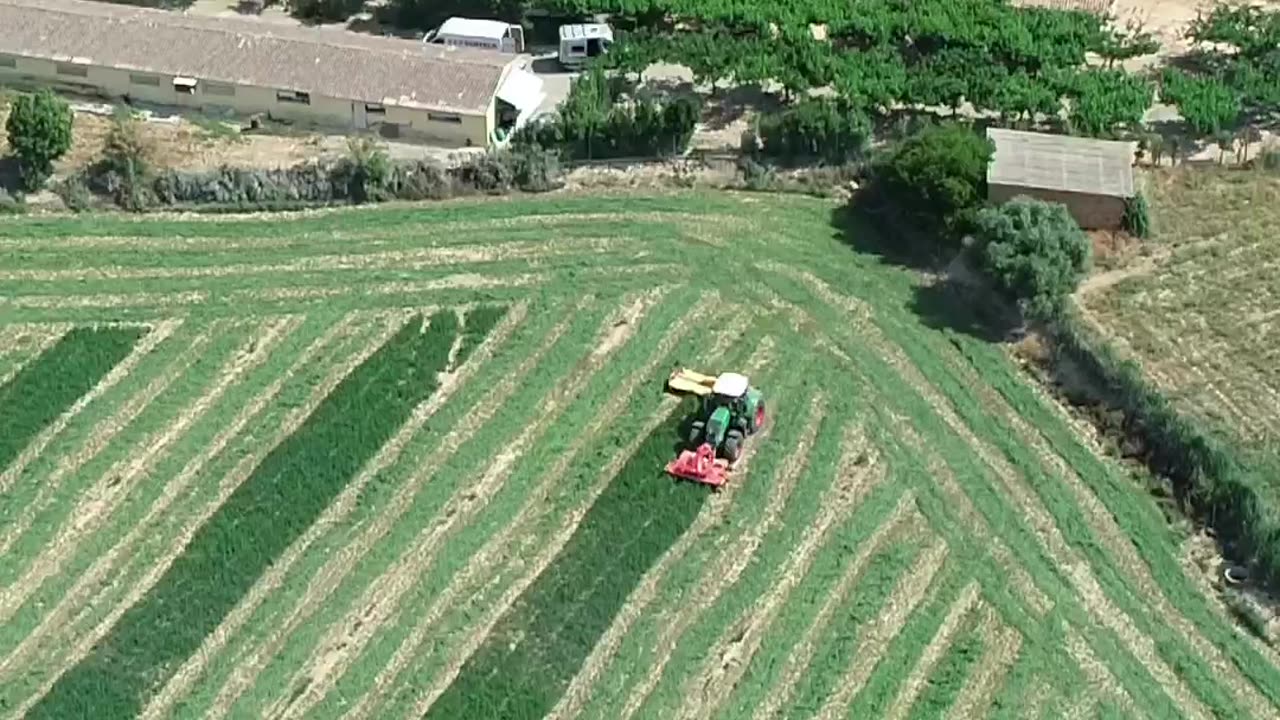 CRC vídeos curiosos