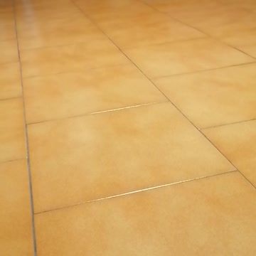 play fetch with my kitten