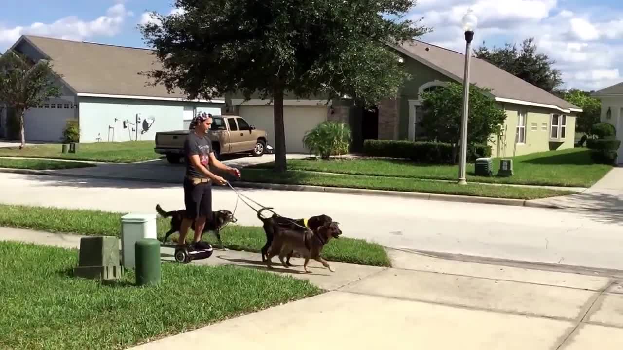 Lazy Man Uses Hoverboard To Walk His Dogs Without Walking