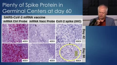 mRNA Spike Protein - The danger