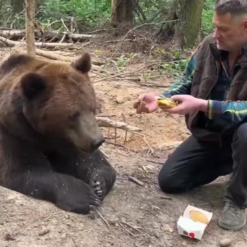 Even Bears Won't Eat McDonald's food!