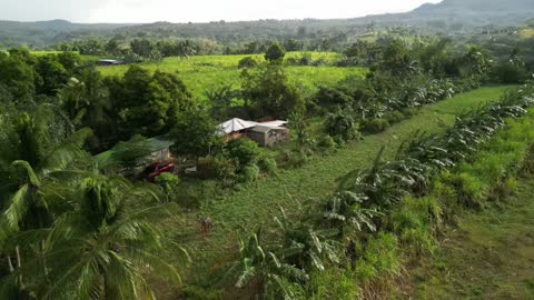 Our neighborhood near Nasugbu, Batangas Philippines