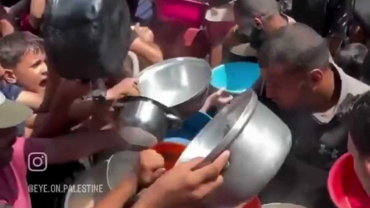 Desperation mounts as the food crisis continues to worsen in Gaza