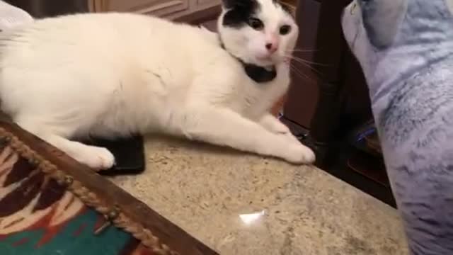 The doll frightened him