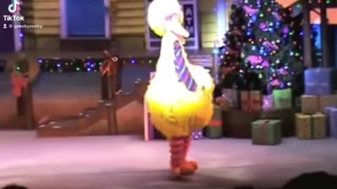 Big bird sauce walk