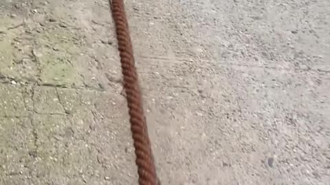 This is a long rope!