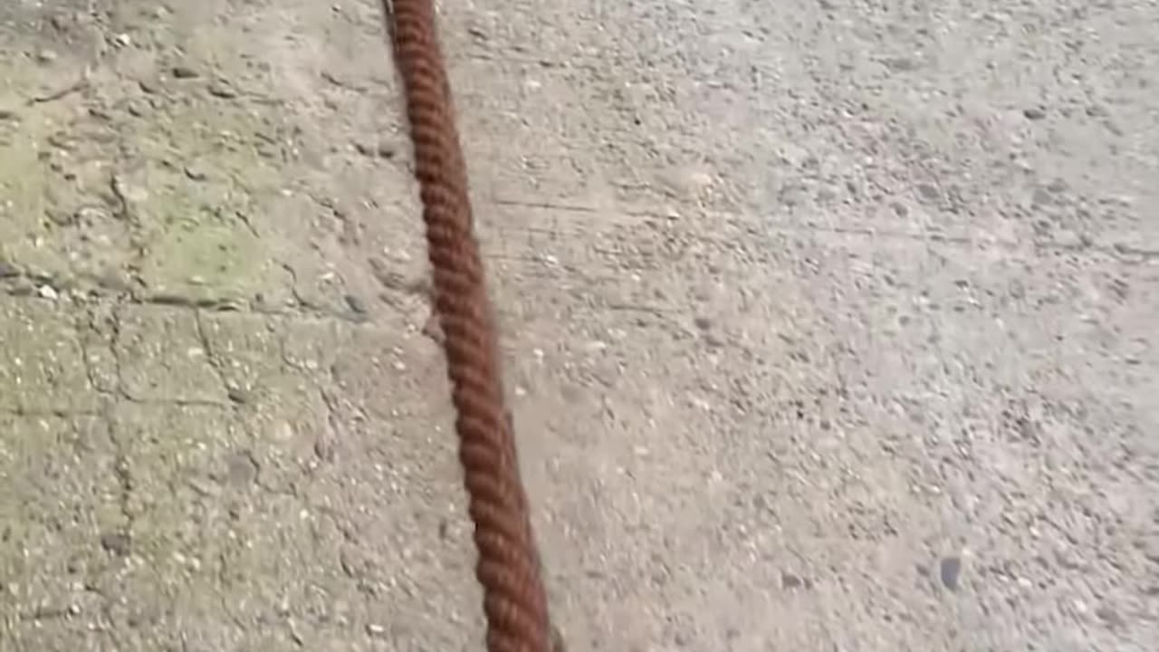 This is a long rope!