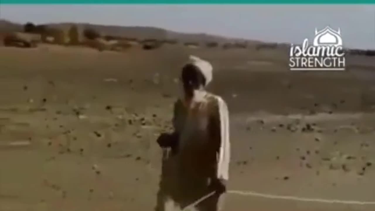 Actually Muslims