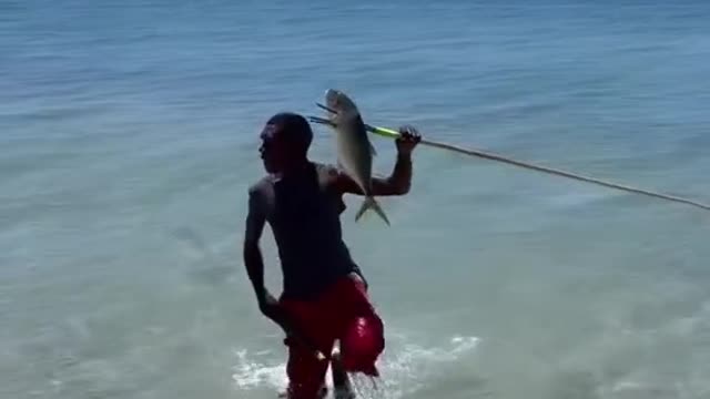 Ultimate fishing