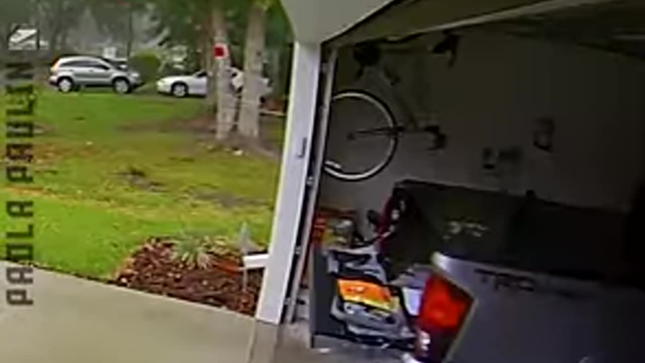 Funny Slips & Falls