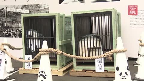 50 years since China presented Japan with giant pandas