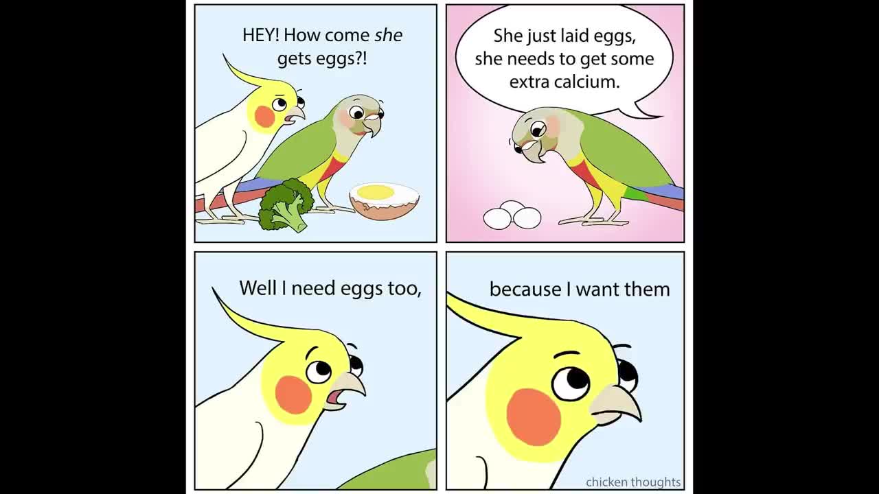 Funny Comics With A Parrot Twist