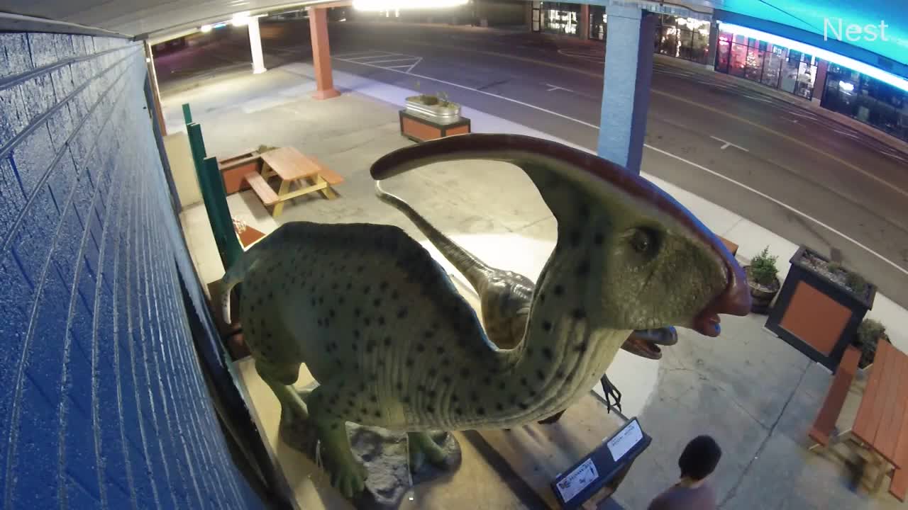 Stranger with Tools in Pocket Steals Dinosaur from Store