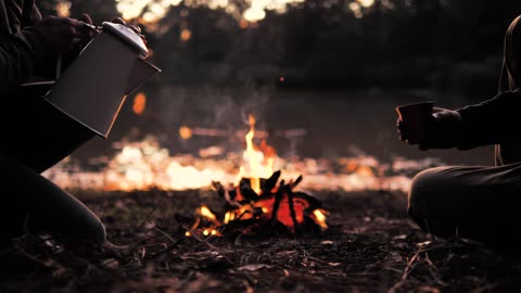 Nature Lover must comment for next video content.