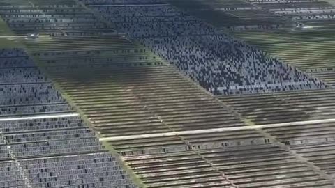 Hail storm in Damon Texas on 3/24/24 destroys 1,000’s of acres of solar farms.