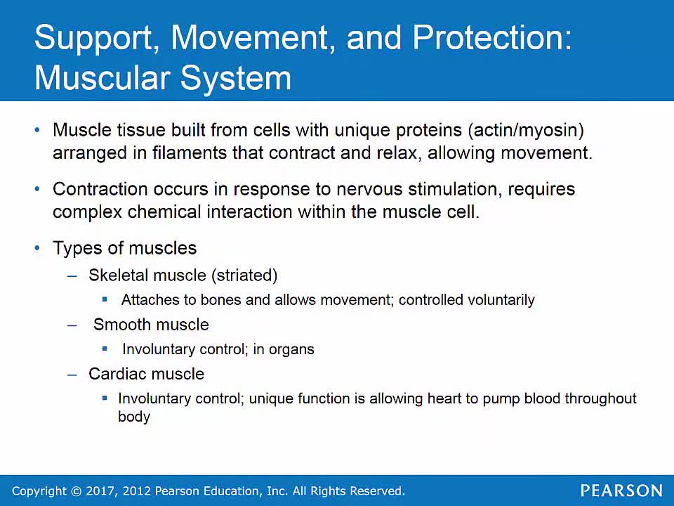 AEMT Ch 8 Human Body Systems