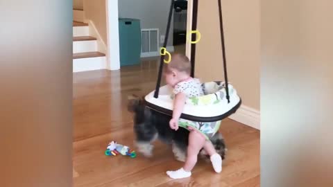 Dog Wants to Take Off Baby's Socks