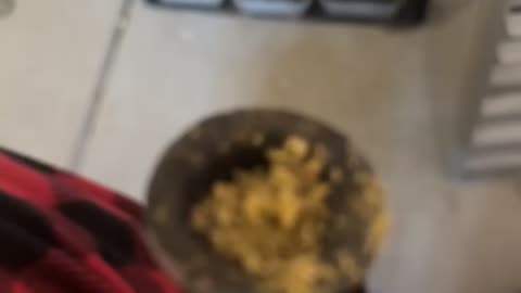 Day 51 I’m gonna play this song tomorrow