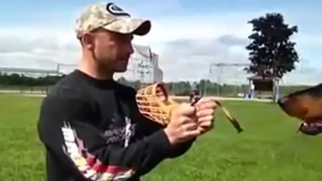 More than wonderful, watch the dog training