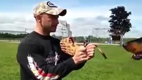 More than wonderful, watch the dog training