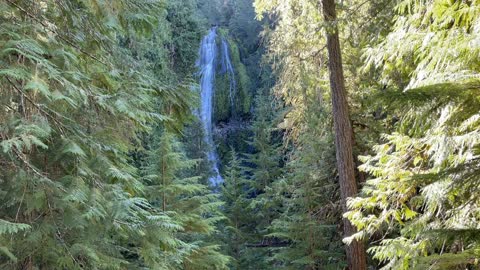 Proxy falls Oregon.