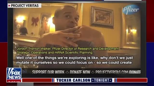 Tucker Carlson - Pfizer videos