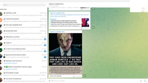 02FEBR2022 REPTILIAN VIDOES I WILL BE CREATING WITH MY POINT OF VIEW