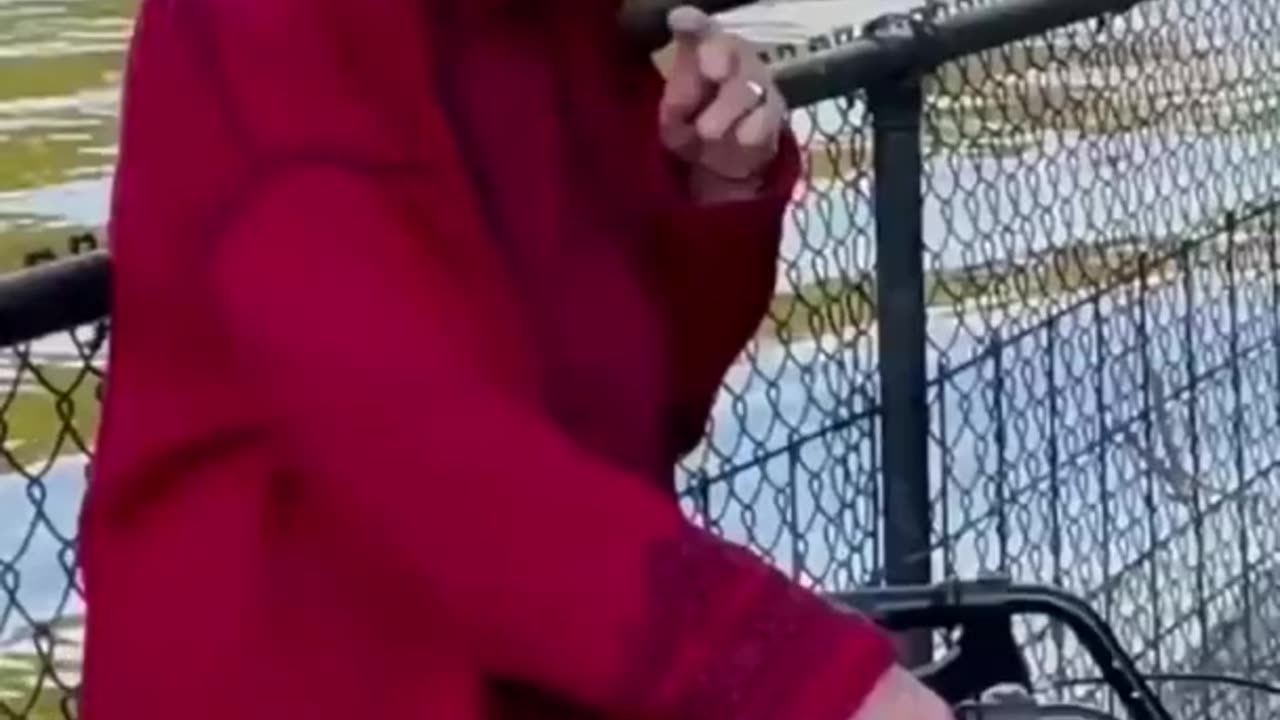 Funniest animal video compilation