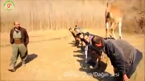 Men Playing With Antelope