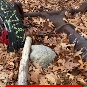 ABANDONED CAR REVIEW!