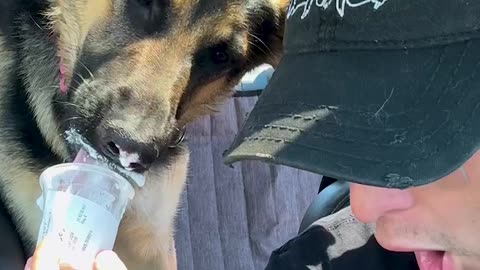 Pup cup gone WRONG...